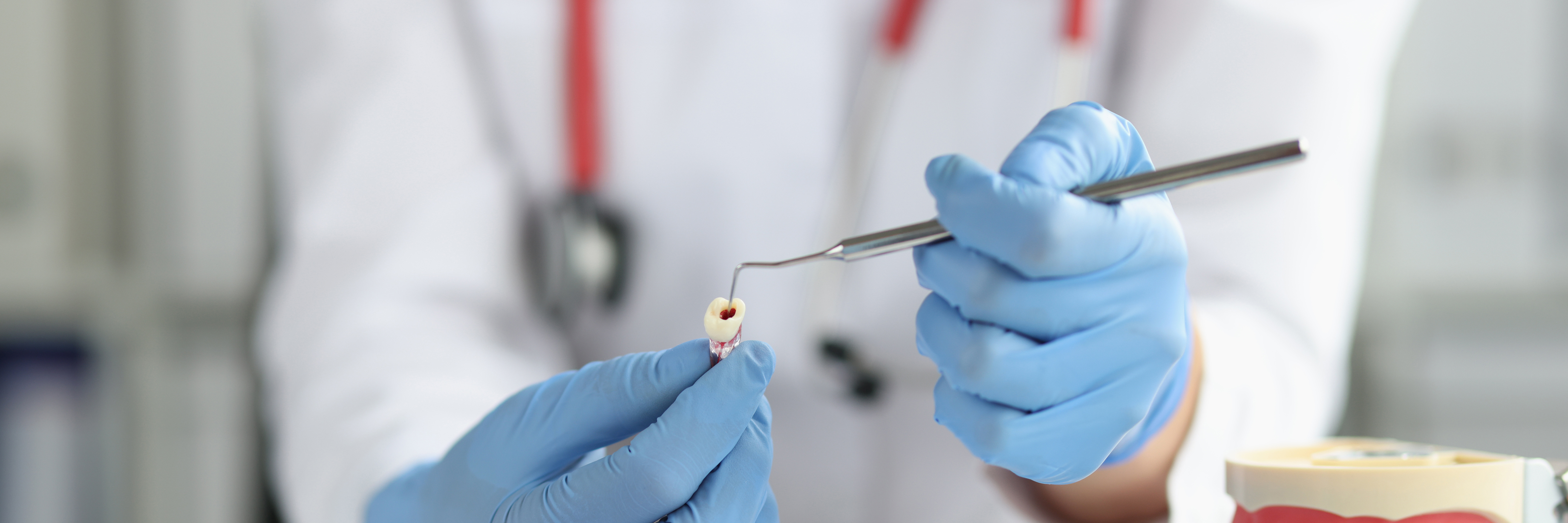 Dentist demonstrating treatment for a single tooth
